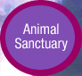 Animal Sanctuary