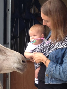 donkey and infant