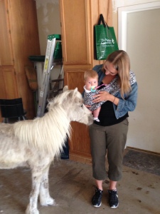 Pegasus with my niece and great-niece